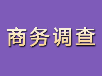 龙城商务调查